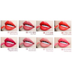Lipstick Agapan Painting Rouge 519